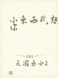 小东西我想弄坏你