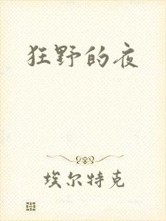 狂野的夜