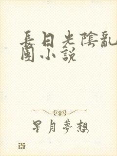 长日光阴乱作一团小说