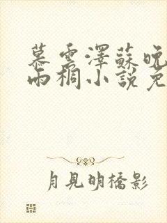 慕云泽苏晚晴夏雨桐小说免费阅读