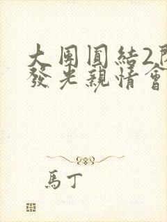 大团圆结2闪闪发光亲情会