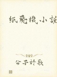 纸飞机小说