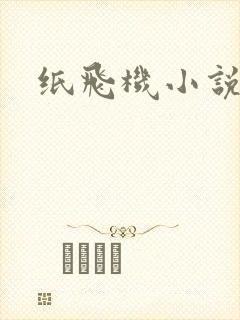 纸飞机小说