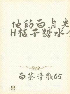 他的白月光HVH桔子糖水全文