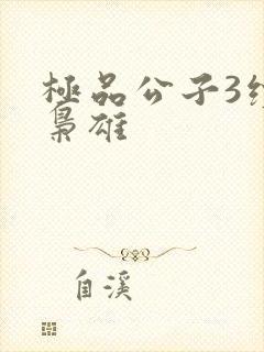 极品公子3续世枭雄