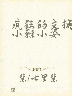 疯狂的交换小静小雅小姿