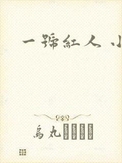 一号红人 小说