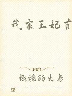 我家王妃有点野