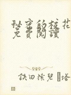 秘密的校花小说免费阅读