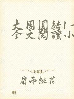 大团圆结1一6全文阅读小说