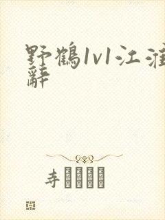 野鹤1v1江淮辞