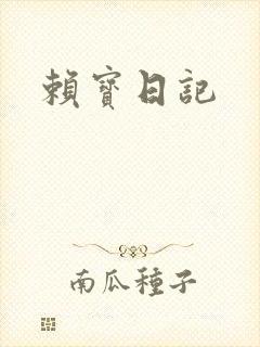赖宝日记封面