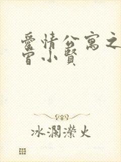 爱情公寓之极品曾小贤