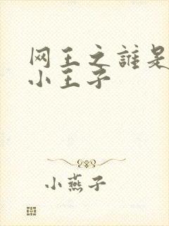 网王之谁是我的小王子