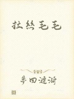 拉丝毛毛