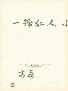 一号红人 小说
