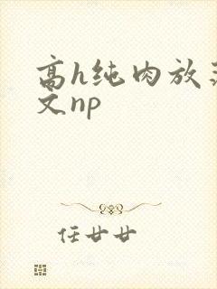 高h纯肉放荡h文np
