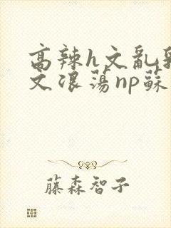 高辣h文乱乳h文浪荡np苏夏