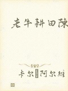 老牛耕田陈雪