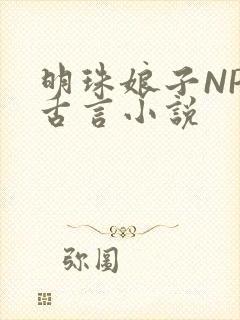 明珠娘子NPC古言小说