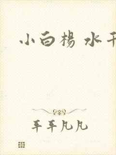 小白杨 水千丞