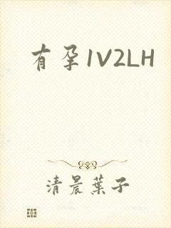 有孕1V2LH