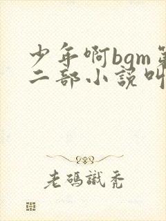 少年啊bgm第二部小说叫什么