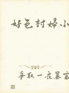 好色村妇小银贼