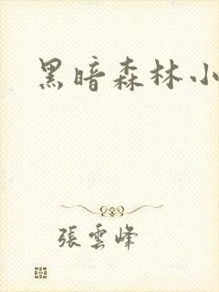 黑暗森林小说