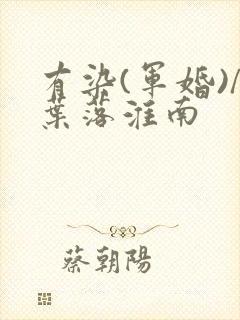 有染(军婚)/叶落淮南