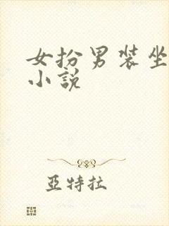 女扮男装坐江山小说