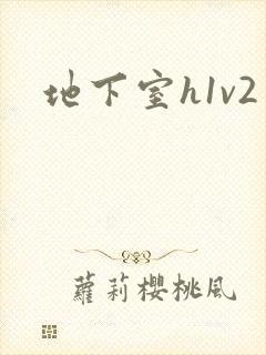 地下室h1v2