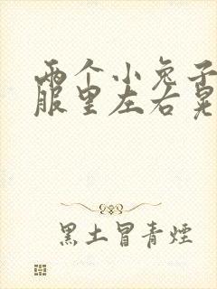 两个小兔子在衣服里左右晃