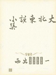 小说东北大炕全集