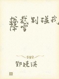 总裁别碰我 韩降雪