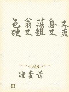 色翁荡息又大又硬又粗又爽小莹