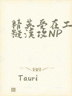 精英受在工地被糙汉攻NP