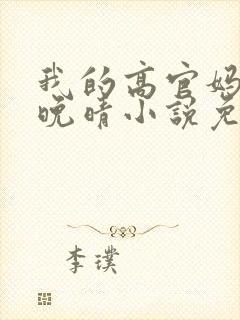 我的高官妈妈苏晚晴小说免费阅读