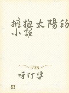 拥抱太阳的月亮小说