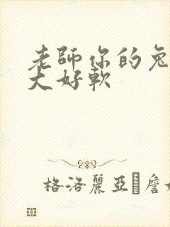 老师你的兔子好大好软