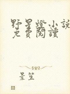 野星灯小说全文免费阅读