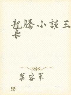 龙腾小说三宝局长