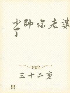 少帅你老婆又跑了