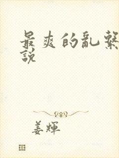 最爽的乱系列小说