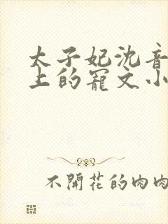 太子妃沈音和皇上的宠文小说