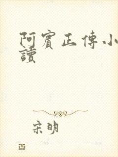 阿宾正传小说在读