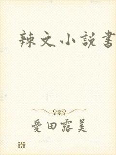 辣文小说书包网