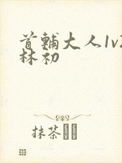 首辅大人1v2林初