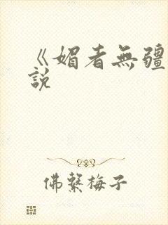 《媚者无疆》小说