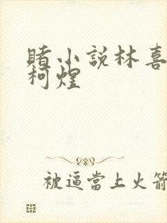 赌小说林喜朝和柯煜